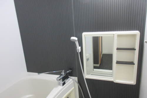 ドリームハイム 0201号-9