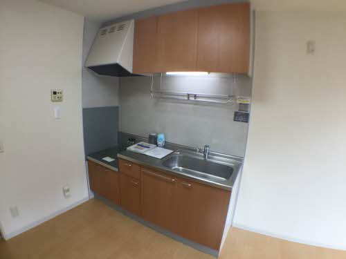 ヴェルドミール A101号-3