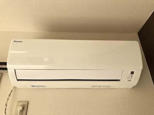 サングリーンオオタ B202号-9