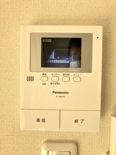 サングリーンオオタ B202号-10