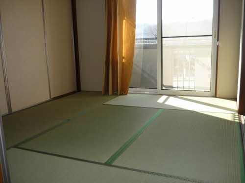 ロベリア 0202号-6