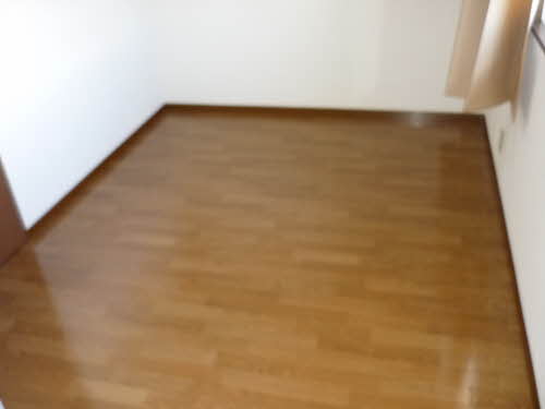 ロベリア 0202号-8