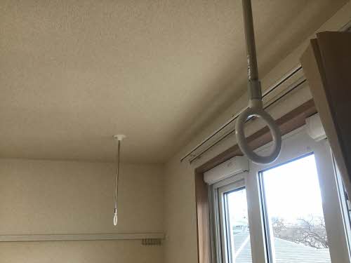 Ｌａ　Ｃｏｕｒ　ｄｕ　Ｒｅｎａｒｄ C202号-13