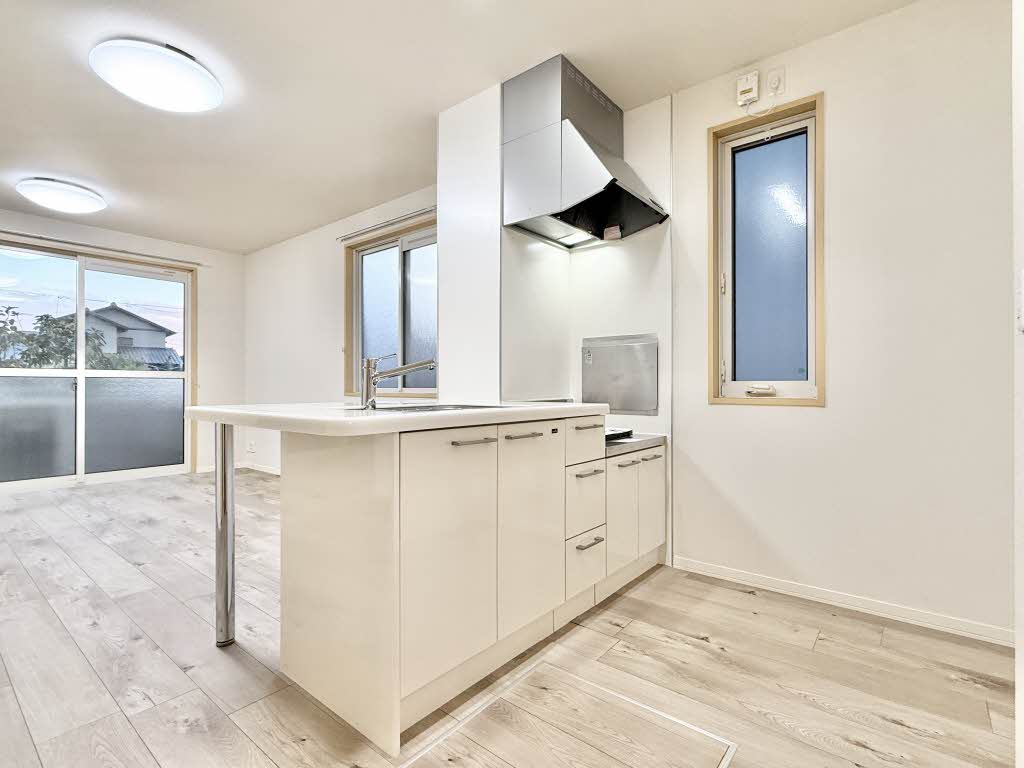 リッツ・セピアコート A101号-4