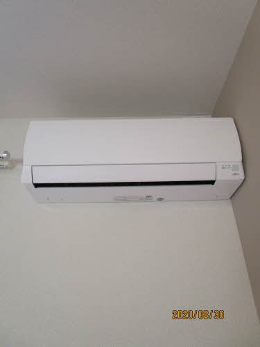 パインテール・セコンド 0101号-10