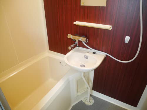 カーサ江島Ⅱ A101号-9