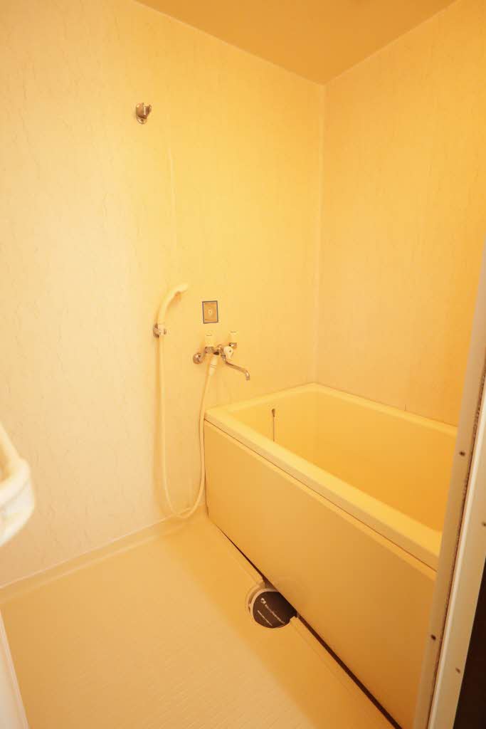 メゾン東川 0101号-9