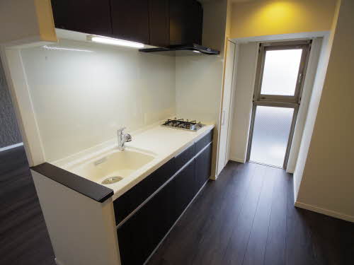 ロイジェント新栄Ⅱ 0305号-3