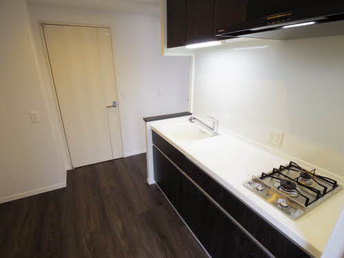 ロイジェント新栄Ⅱ 0305号-5