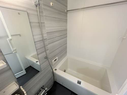 ロイジェント新栄Ⅱ 0702号-9