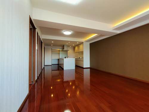 ロイジェント新栄Ⅱ 1101号-11