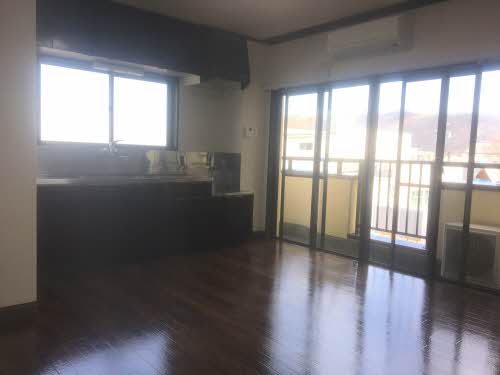 モダニティパレス望月 0203号-5