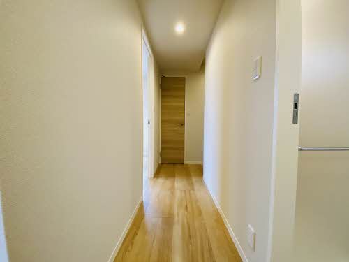 Ａｄｏｎｉｓ 0307号-4