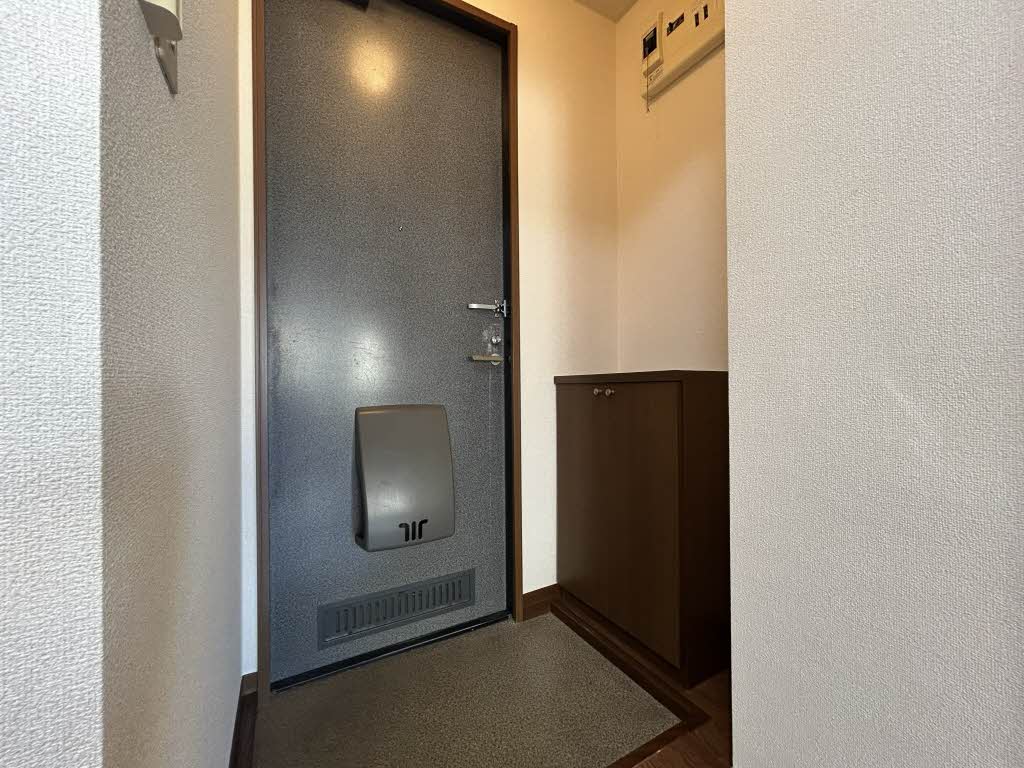ステラ 0203号-5