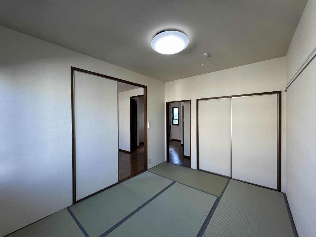 ステラ 0203号-10