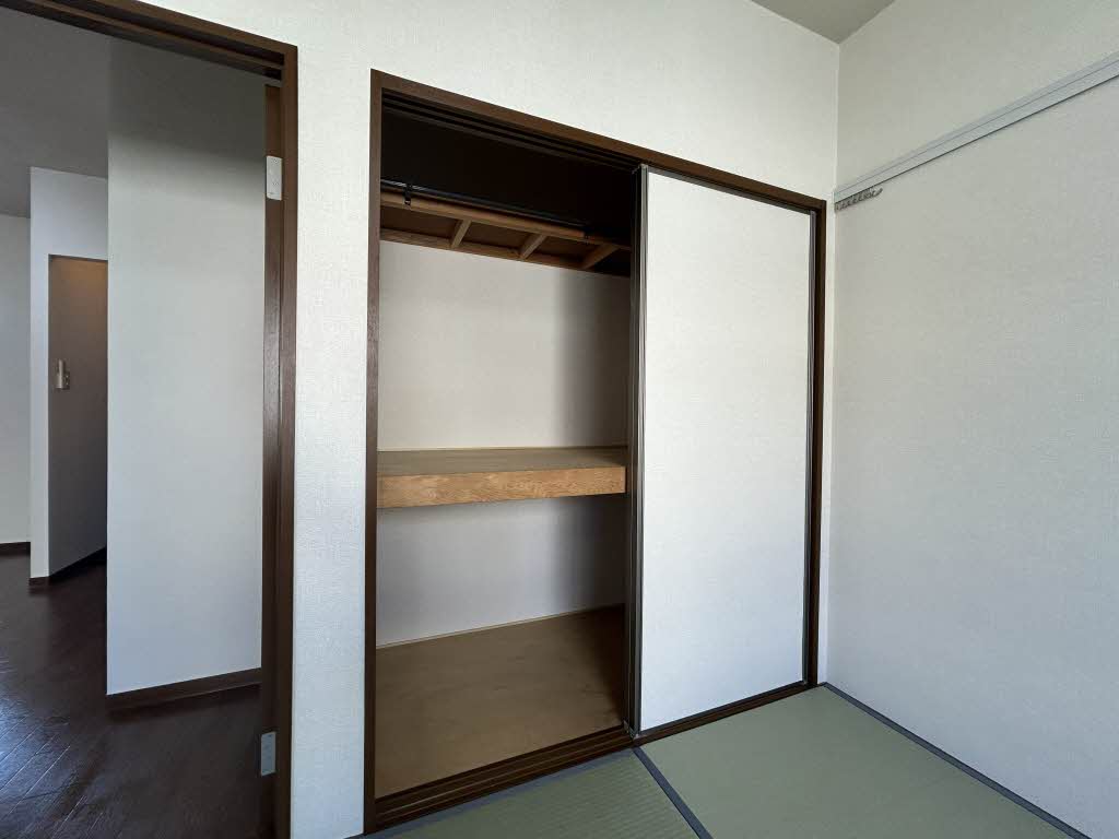 ステラ 0203号-11