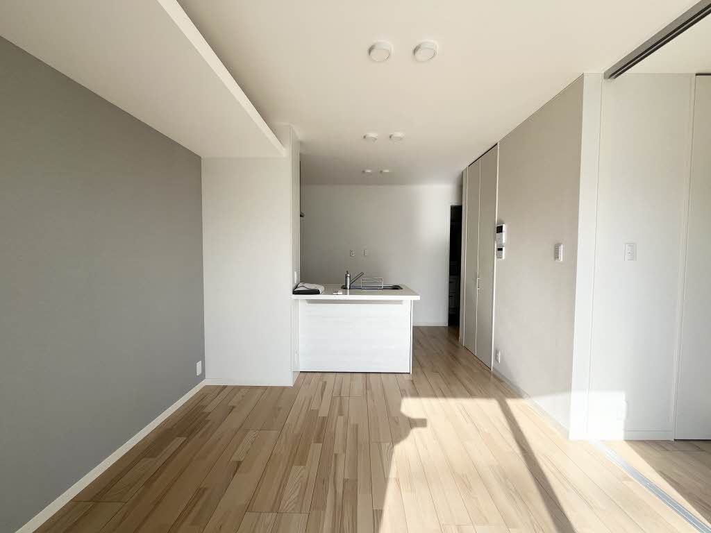 Ａｍａｐｏｌａ（アマポーラ） 0205号-2