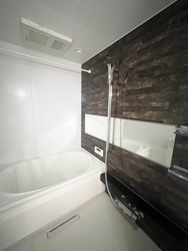 Ａｍａｐｏｌａ（アマポーラ） 0205号-11