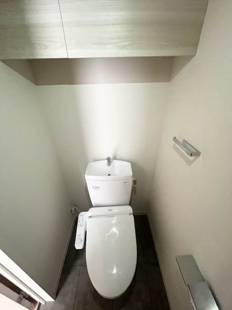 Ａｍａｐｏｌａ（アマポーラ） 0205号-14