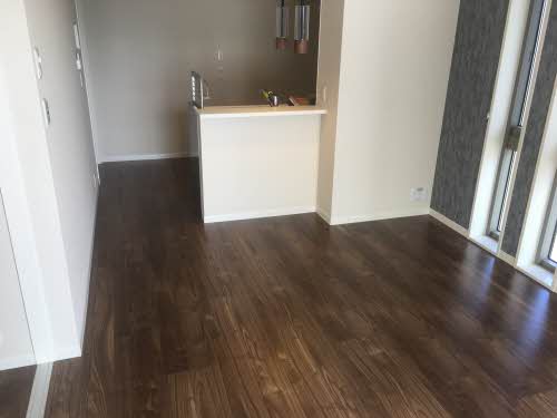 セレナヴィラ中川 0301号-3