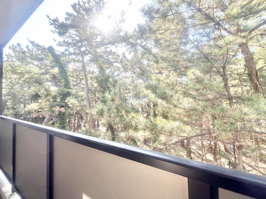 グランメール千本 D306号-12