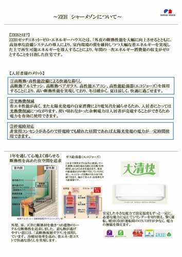 ベリッシモ 0106号-13