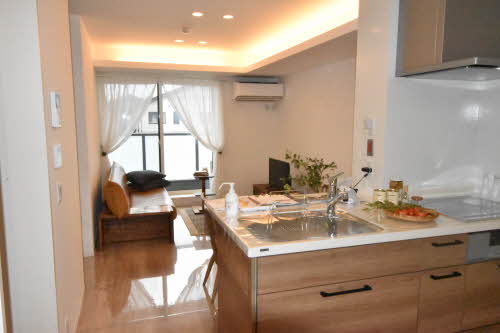 Ｃｕｌｌｉｎａｎ金澤（カリナン金澤） 0206号-3