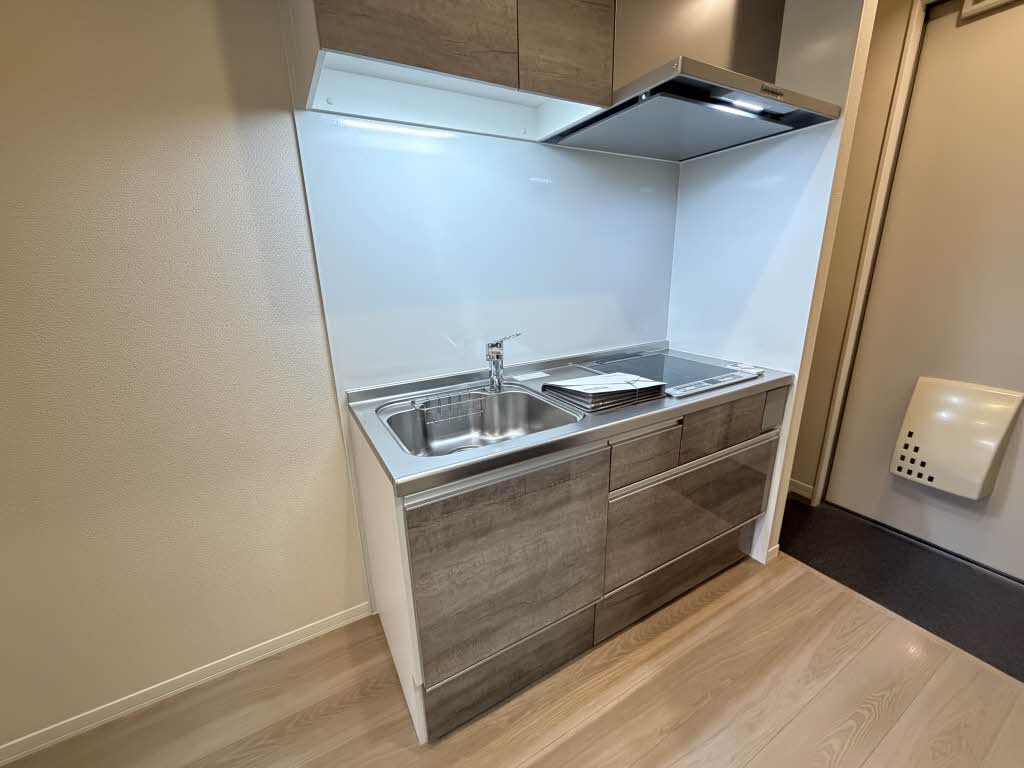 フラットベガ 0202号-3