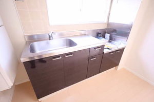 モンアミ A201号-13