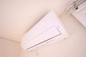 モンアミ A201号-14