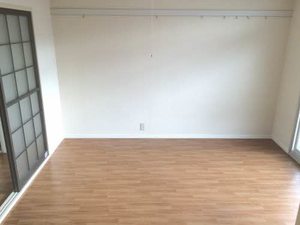 モンアミ D101号-3