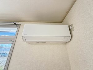 モンアミ D101号-15