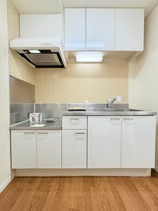 フレグランスレオ 0206号-9