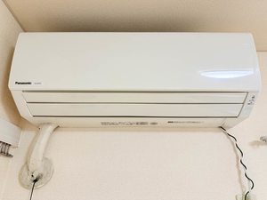 フレグランスレオ 0206号-14