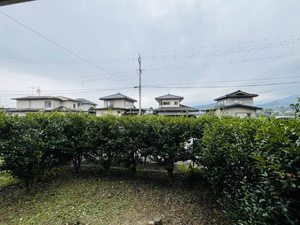 フレグランス野保里 B102号-15