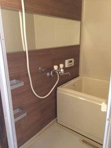 ノーウェッジアンウッド A202号-2