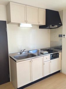 ノーウェッジアンウッド A202号-4