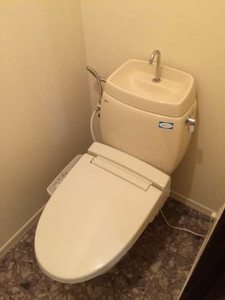 ノーウェッジアンウッド A202号-10