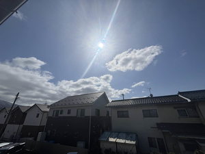 ポリティア上條 A202号-11