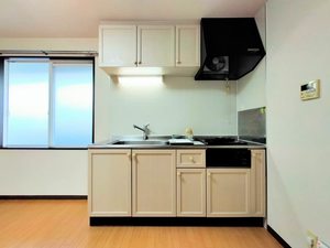 ＳＳコーポ　ＰＡＶＯ B202号-4