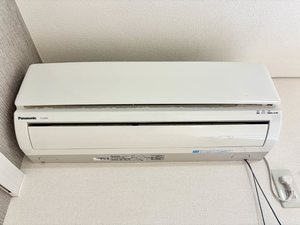 フレグランスマルベリィー 0101号-15