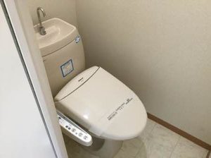 フレグランスマルベリィー 0203号-7