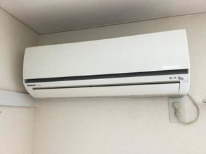 フレグランスマルベリィー 0203号-8