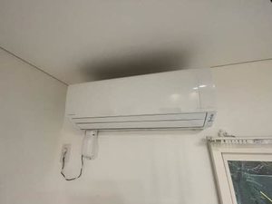 フレグランス黄金 E101号-8