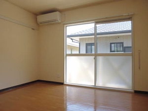 パールピアス 0203号-2