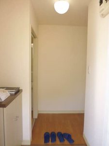 パールピアス 0203号-3