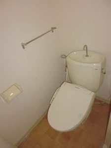 パールピアス 0203号-5