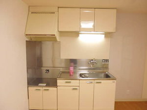 パールピアス 0203号-7