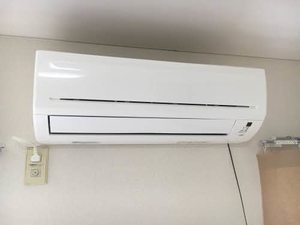 ラプラス稲田 S101号-10