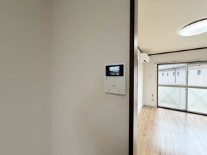 ルモンプルミエール 0203号-7